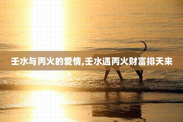 壬水与丙火的爱情,壬水遇丙火财富排天来