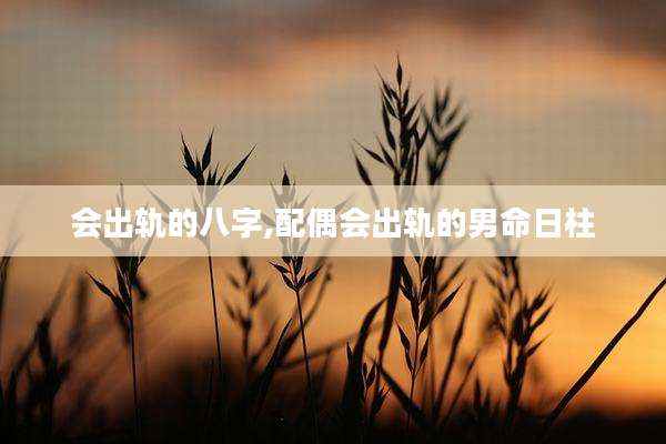 会出轨的八字,配偶会出轨的男命日柱
