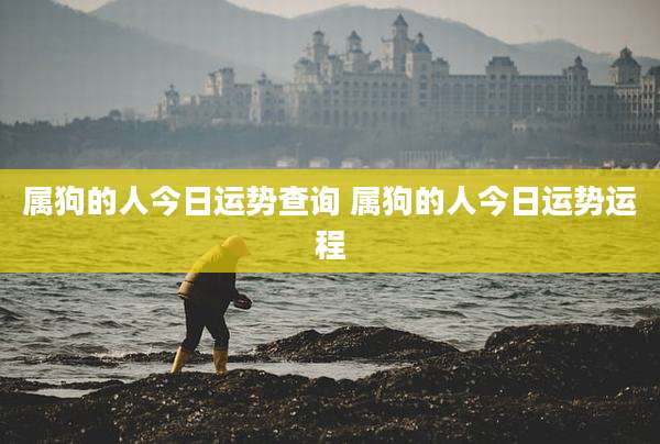 属狗的人今日运势查询 属狗的人今日运势运程