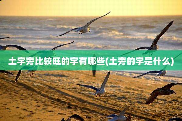 土字旁比较旺的字有哪些(土旁的字是什么)