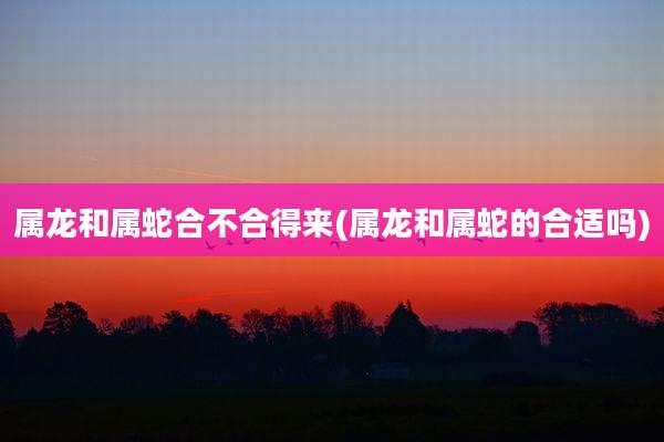 属龙和属蛇合不合得来(属龙和属蛇的合适吗)