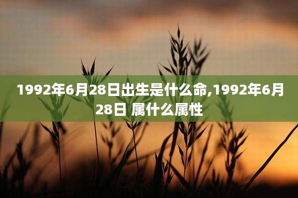 1992年6月28日出生是什么命,1992年6月28日 属什么属性