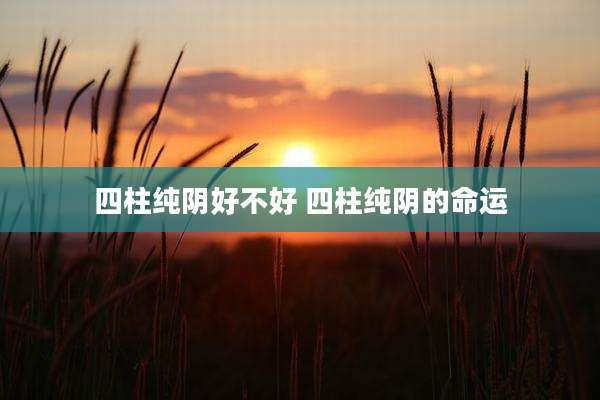 四柱纯阴好不好 四柱纯阴的命运