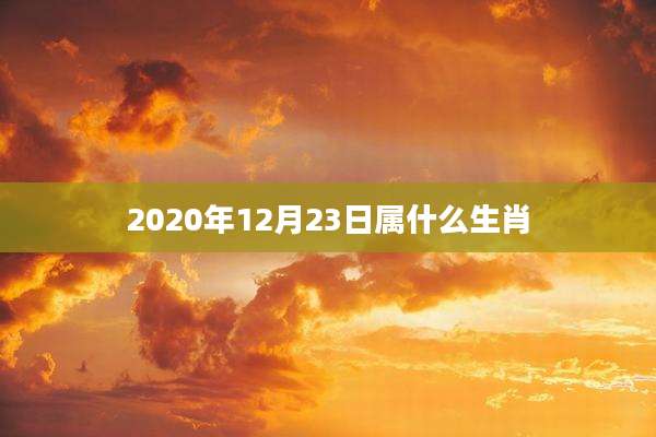 2020年12月23日属什么生肖