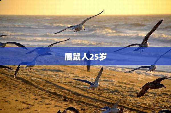 属鼠人25岁