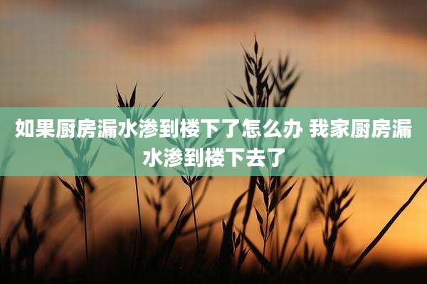 如果厨房漏水渗到楼下了怎么办 我家厨房漏水渗到楼下去了