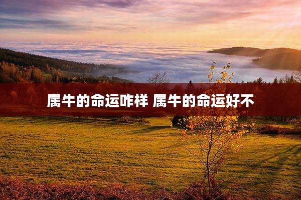 属牛的命运咋样 属牛的命运好不