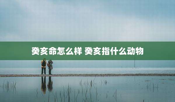 癸亥命怎么样 癸亥指什么动物