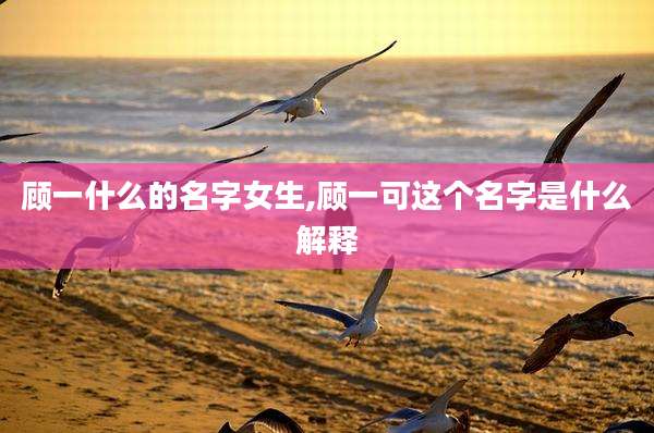 顾一什么的名字女生,顾一可这个名字是什么解释