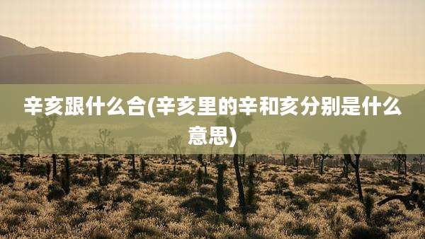 辛亥跟什么合(辛亥里的辛和亥分别是什么意思)