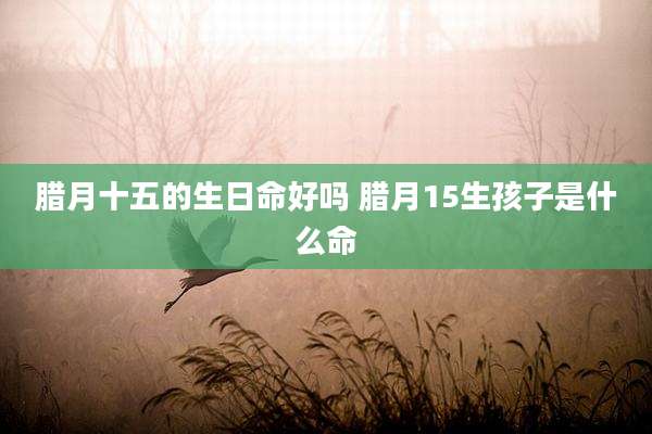 腊月十五的生日命好吗 腊月15生孩子是什么命