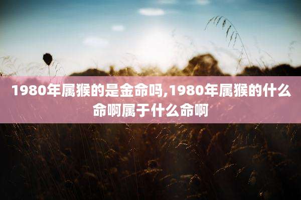 1980年属猴的是金命吗,1980年属猴的什么命啊属于什么命啊