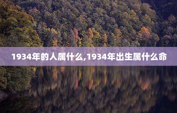 1934年的人属什么,1934年出生属什么命