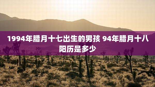 1994年腊月十七出生的男孩 94年腊月十八阳历是多少