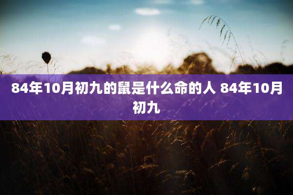 84年10月初九的鼠是什么命的人 84年10月初九