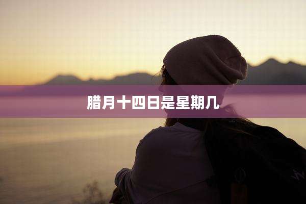 腊月十四日是星期几