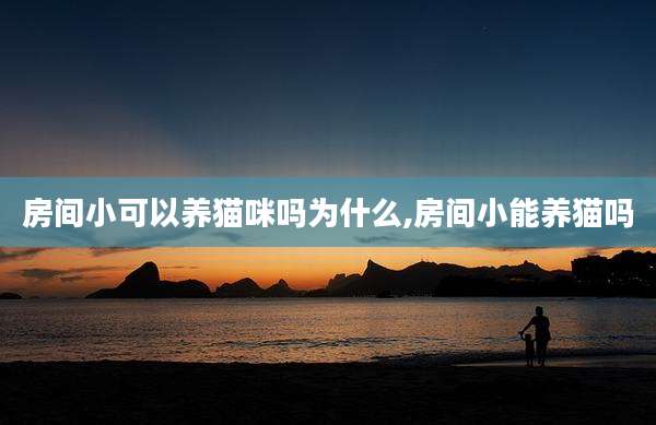 房间小可以养猫咪吗为什么,房间小能养猫吗