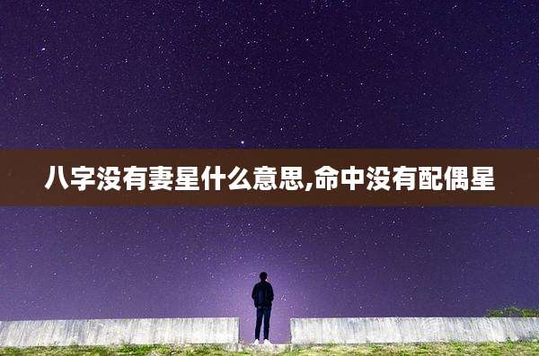 八字没有妻星什么意思,命中没有配偶星