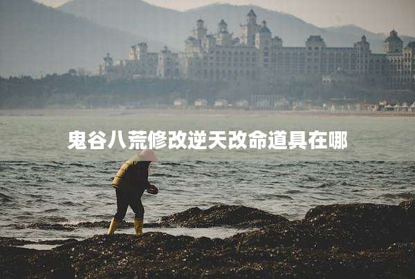 鬼谷八荒修改逆天改命道具在哪