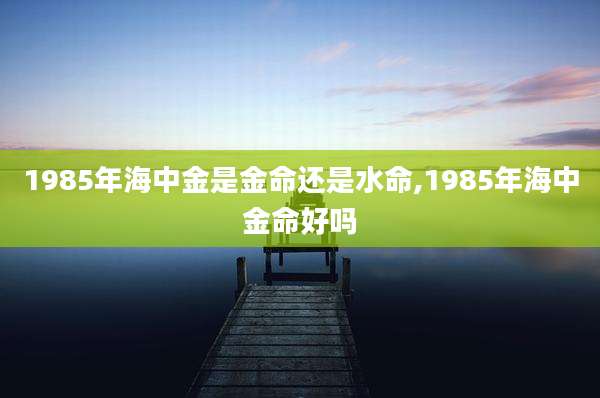 1985年海中金是金命还是水命,1985年海中金命好吗