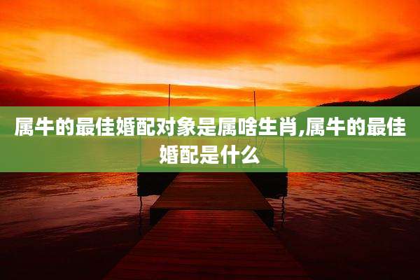 属牛的最佳婚配对象是属啥生肖,属牛的最佳婚配是什么