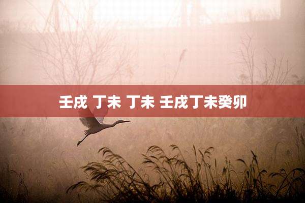 壬戌 丁未 丁未 壬戌丁未癸卯