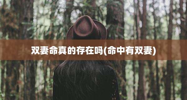 双妻命真的存在吗(命中有双妻)