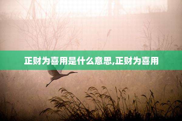 正财为喜用是什么意思,正财为喜用