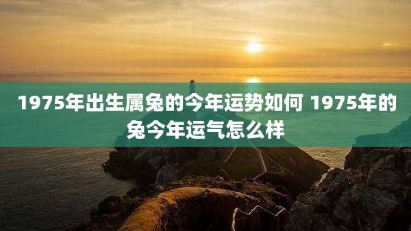 1975年出生属兔的今年运势如何 1975年的兔今年运气怎么样