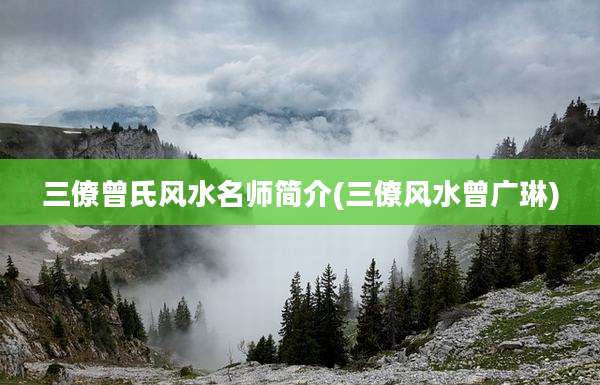 三僚曾氏风水名师简介(三僚风水曾广琳)