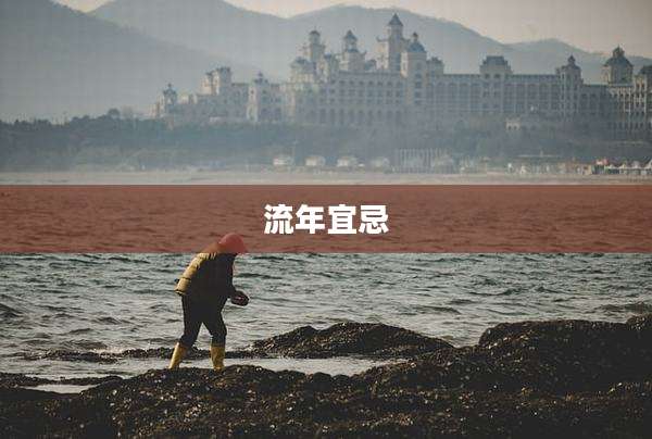 流年宜忌