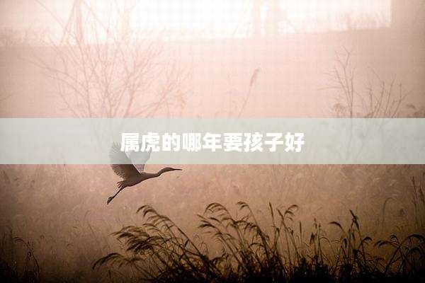 属虎的哪年要孩子好