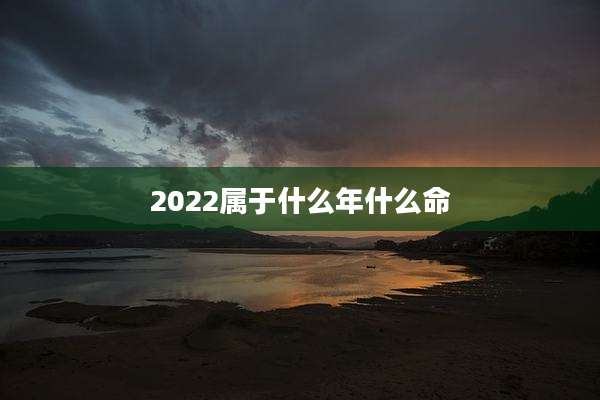 2022属于什么年什么命