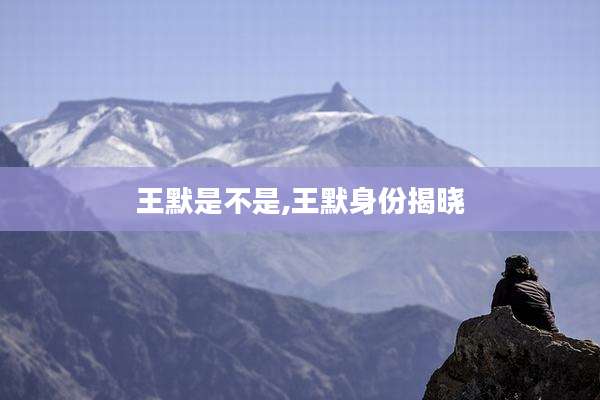 王默是不是,王默身份揭晓
