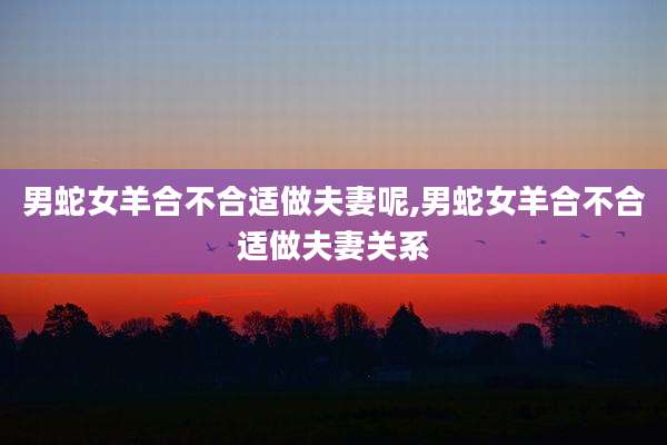 男蛇女羊合不合适做夫妻呢,男蛇女羊合不合适做夫妻关系