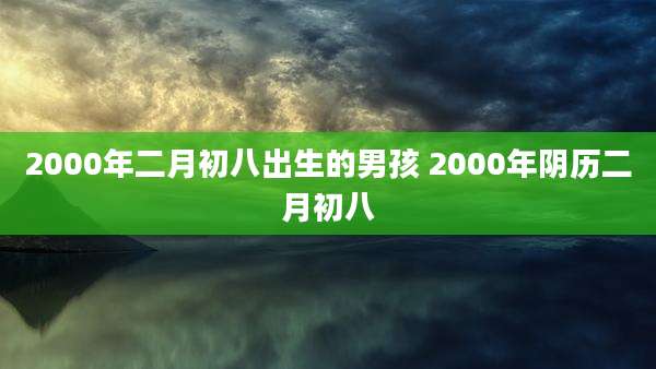 2000年二月初八出生的男孩 2000年阴历二月初八