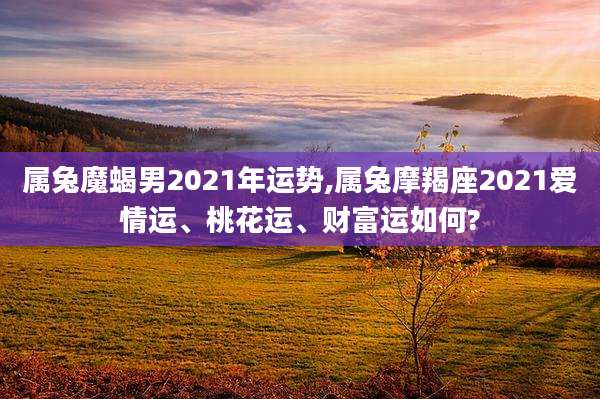 属兔魔蝎男2021年运势,属兔摩羯座2021爱情运、桃花运、财富运如何?