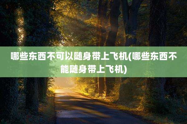 哪些东西不可以随身带上飞机(哪些东西不能随身带上飞机)