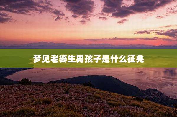 梦见老婆生男孩子是什么征兆