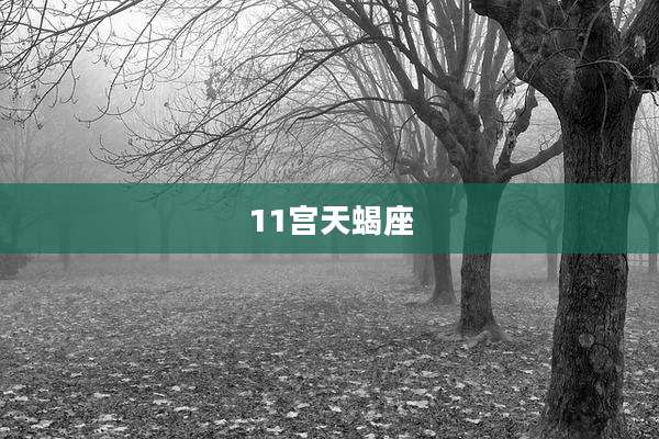 11宫天蝎座