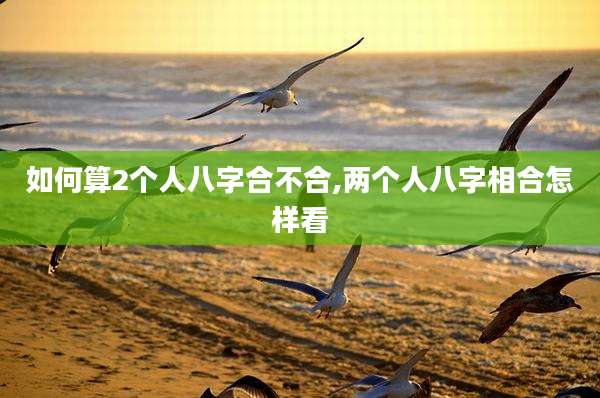 如何算2个人八字合不合,两个人八字相合怎样看