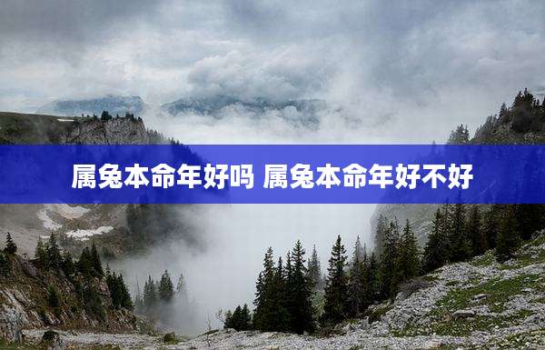 属兔本命年好吗 属兔本命年好不好