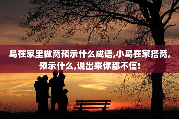 鸟在家里做窝预示什么成语,小鸟在家搭窝,预示什么,说出来你都不信!