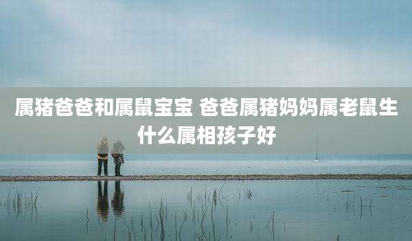 属猪爸爸和属鼠宝宝 爸爸属猪妈妈属老鼠生什么属相孩子好