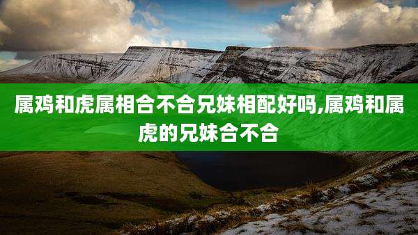 属鸡和虎属相合不合兄妹相配好吗,属鸡和属虎的兄妹合不合