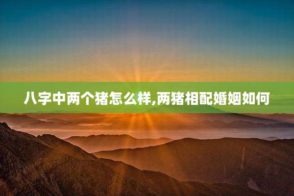 八字中两个猪怎么样,两猪相配婚姻如何