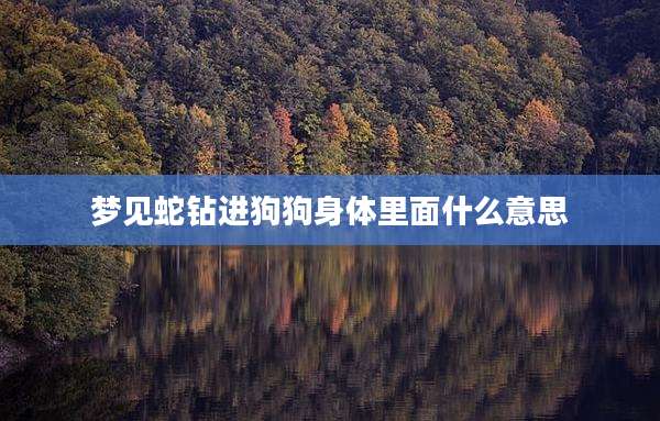 梦见蛇钻进狗狗身体里面什么意思