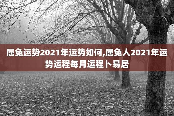 属兔运势2021年运势如何,属兔人2021年运势运程每月运程卜易居