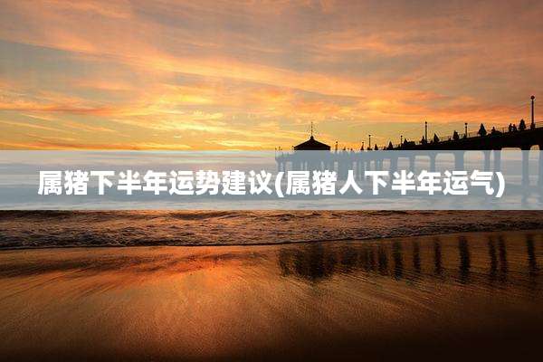 属猪下半年运势建议(属猪人下半年运气)