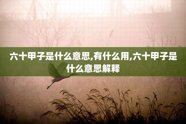 六十甲子是什么意思,有什么用,六十甲子是什么意思解释